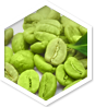 Green Coffee MD™ ingredient 1